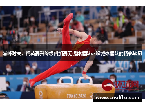 巅峰对决：精英赛升降级附加赛无锡体操队vs聊城体操队的精彩较量